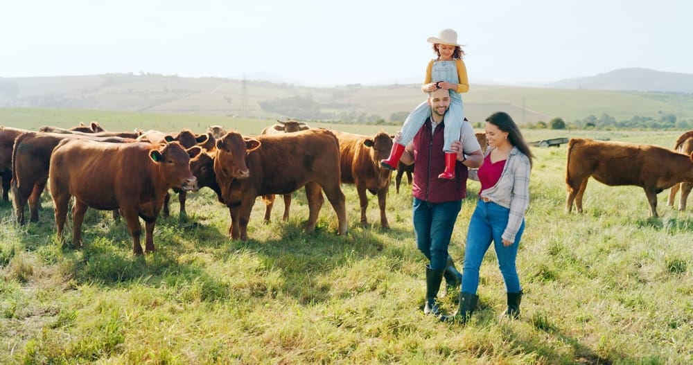 Farming couple with their young child in a field with cattle, representing succession planning and inheritance tax considerations for farming families.